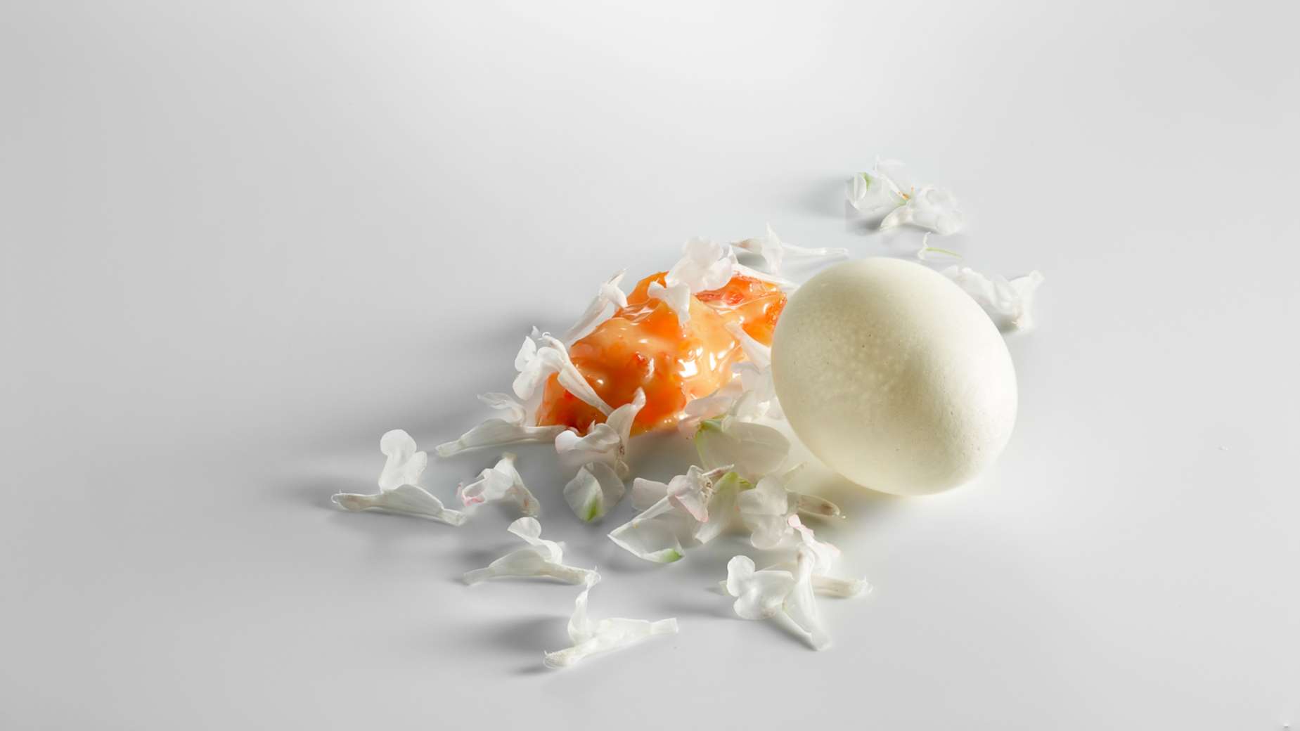 El huevo roto, la yema helada y las flores blancas.
Foto: José Luis López de Zubiria / Mugaritz