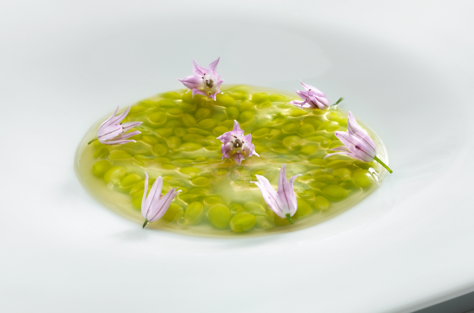Tear sweet peas covered in a light, tepid veil of ginger consomme. Chive flowers.
PHOTO: José Luis López de Zubiría / Mugaritz