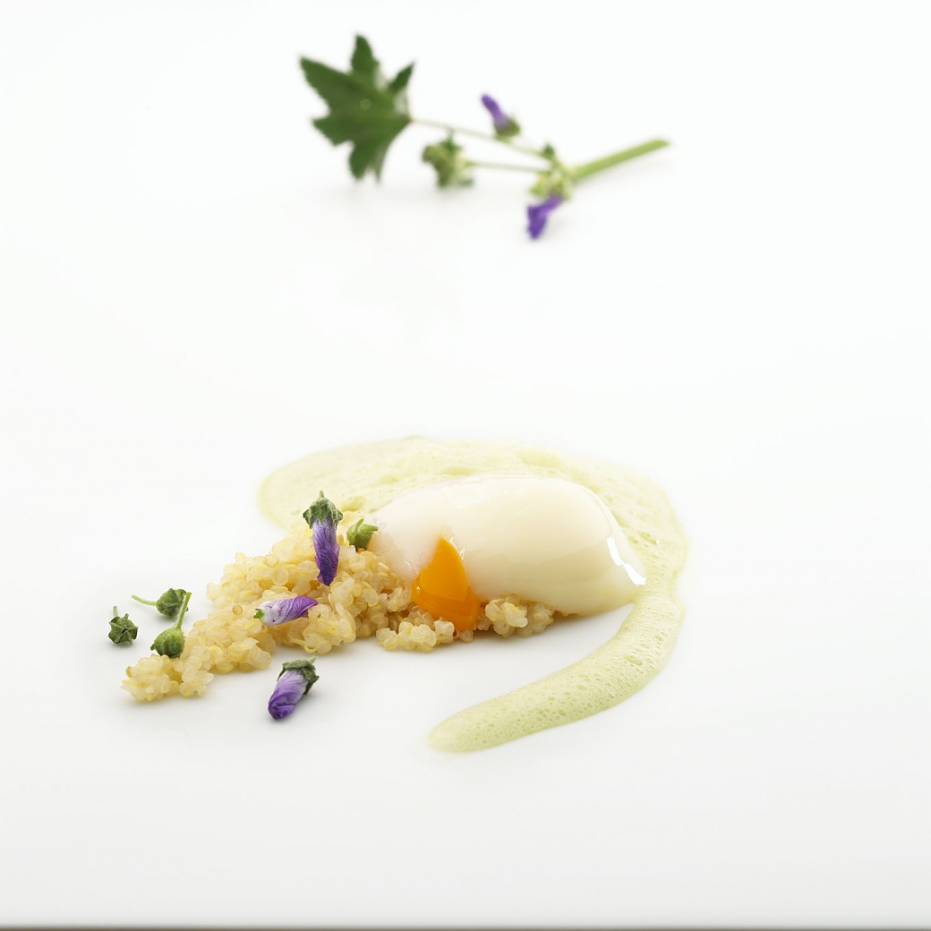 Huevo cocido a baja temperatura, apoyado sobre una quinoa estofada con queso Idiazabal y flores de malva
FOTO: José Luis López de Zubiría / Mugaritz