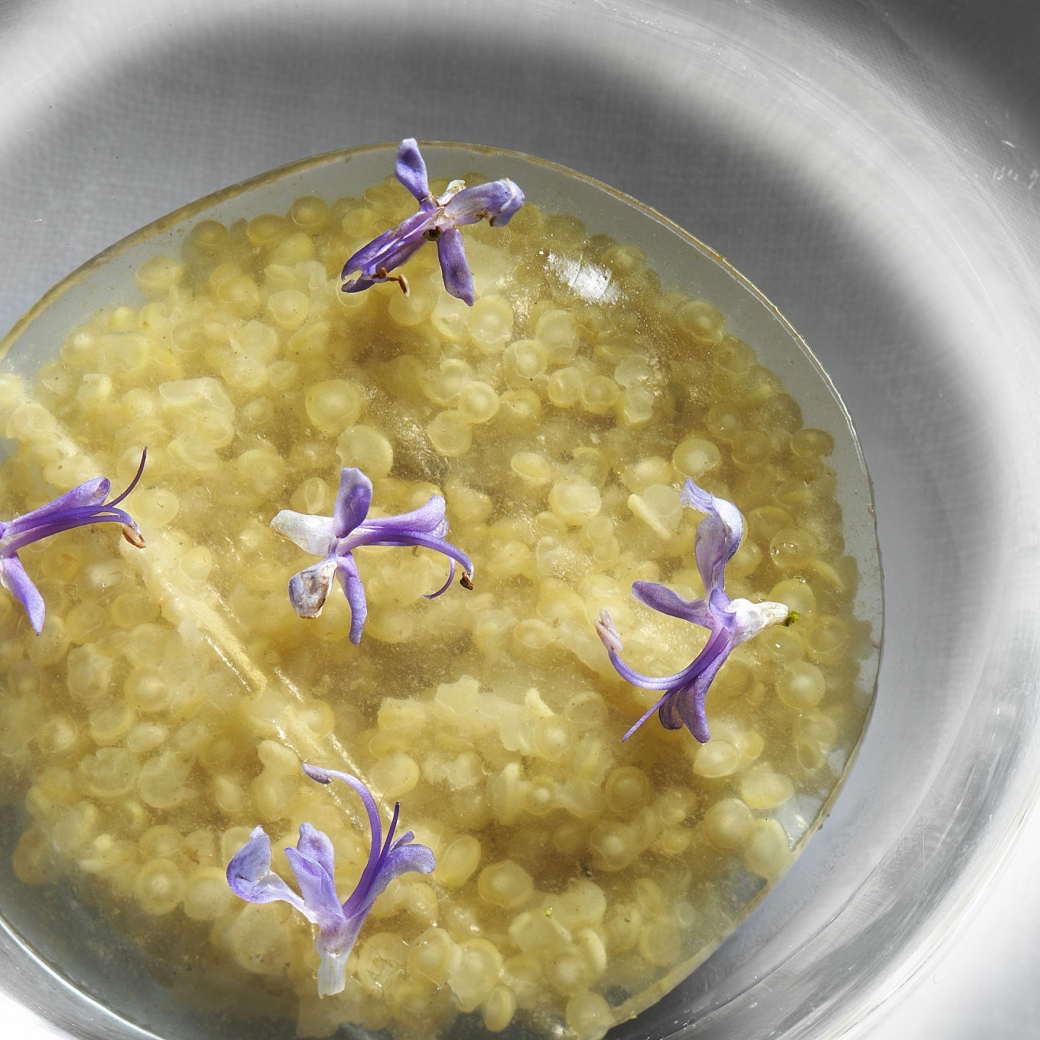 Velo gelatinoso de bonito, flores de romero y miel batida, sobre quinoa aliñada con un concentrado de queso Idiazabal
PHOTO: José Luis López de Zubiría / Mugaritz
