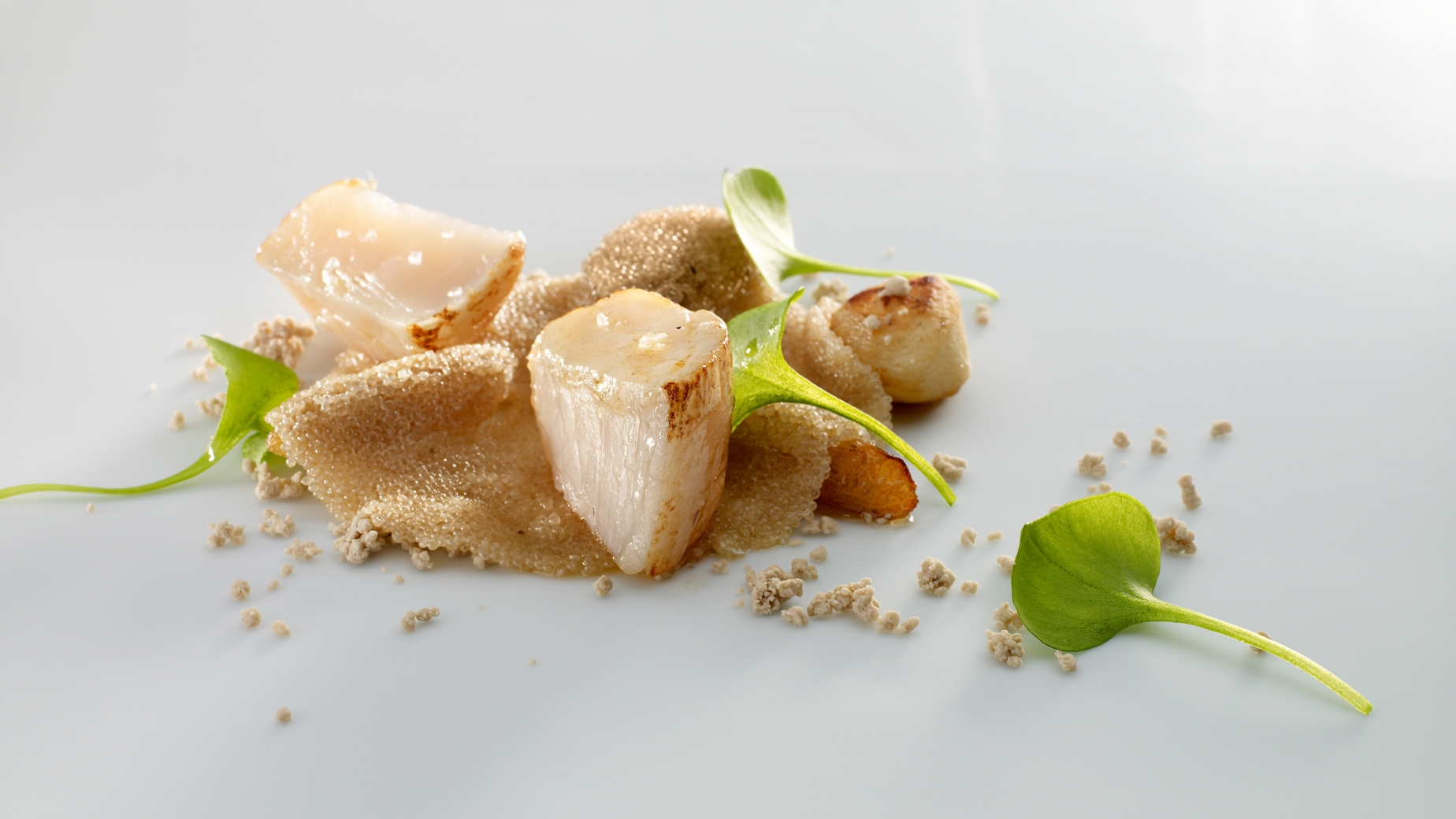 Roasted scallops and tubers covered with amaranth,  slices of sweet acorn and winter purslane, with a clay and truffle juice dressing
PHOTO: José Luis López de Zubiría / Mugaritz
