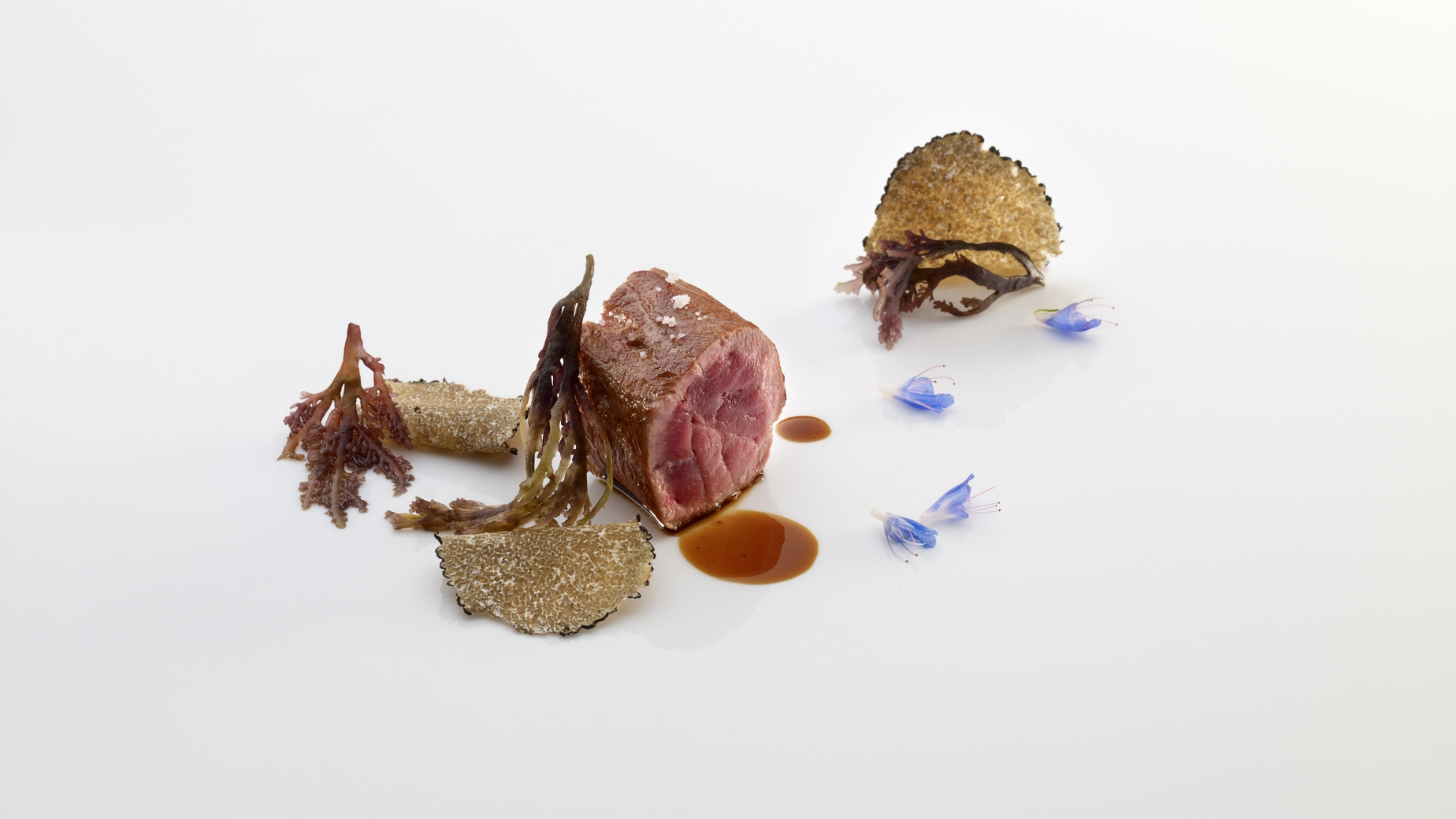 Loin of duck. served with iodized compliments; crumblings and shavings of summer truffle.

PHOTO: José Luis López de Zubiría / Mugaritz