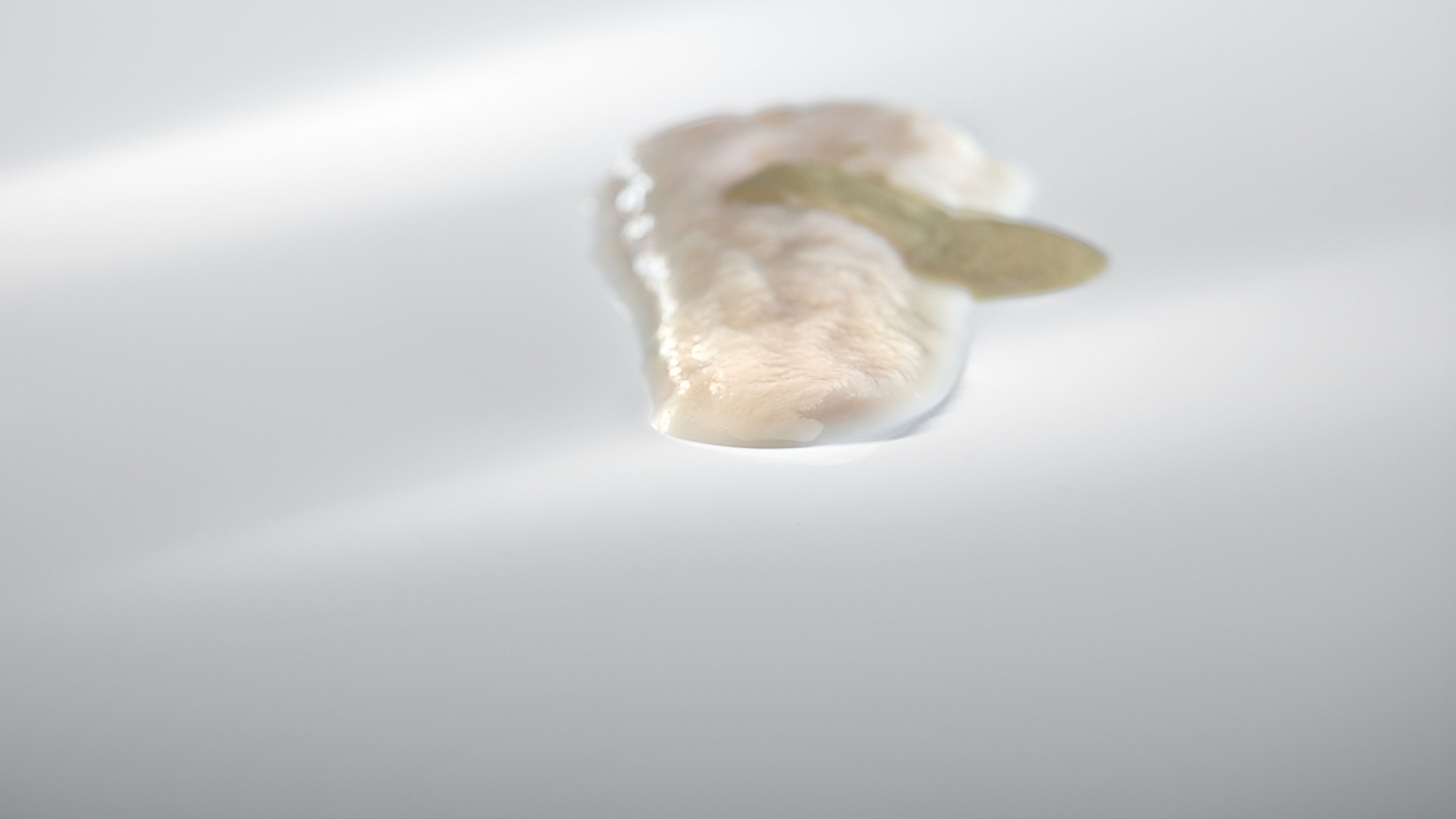 Portion of hake and milky reduction of stewed turnip sprouts. Citric cream and salt grains.
PHOTO: José Luis López de Zubiría / Mugaritz
