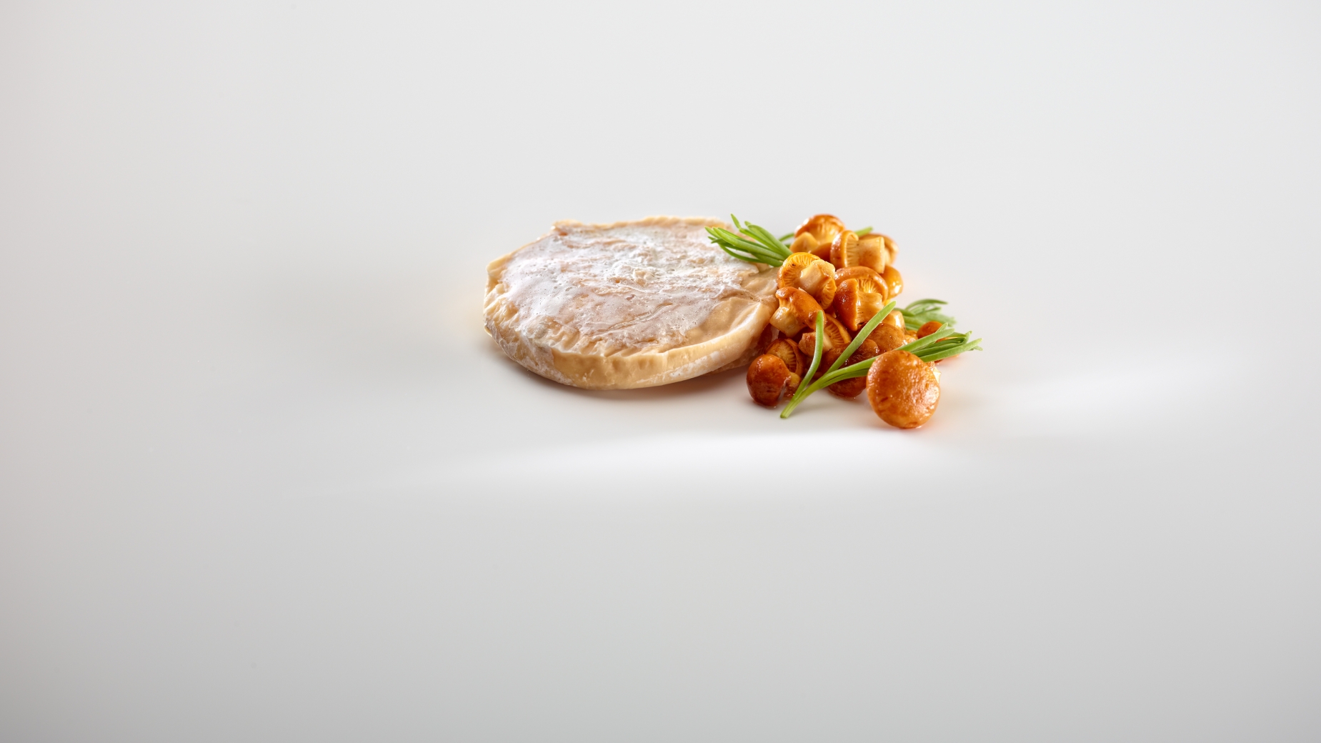 Portion of home-made cheese, cured in its own rind, mushrooms and fleshy leaves.
PHOTO: José Luis López de Zubiría / Mugaritz