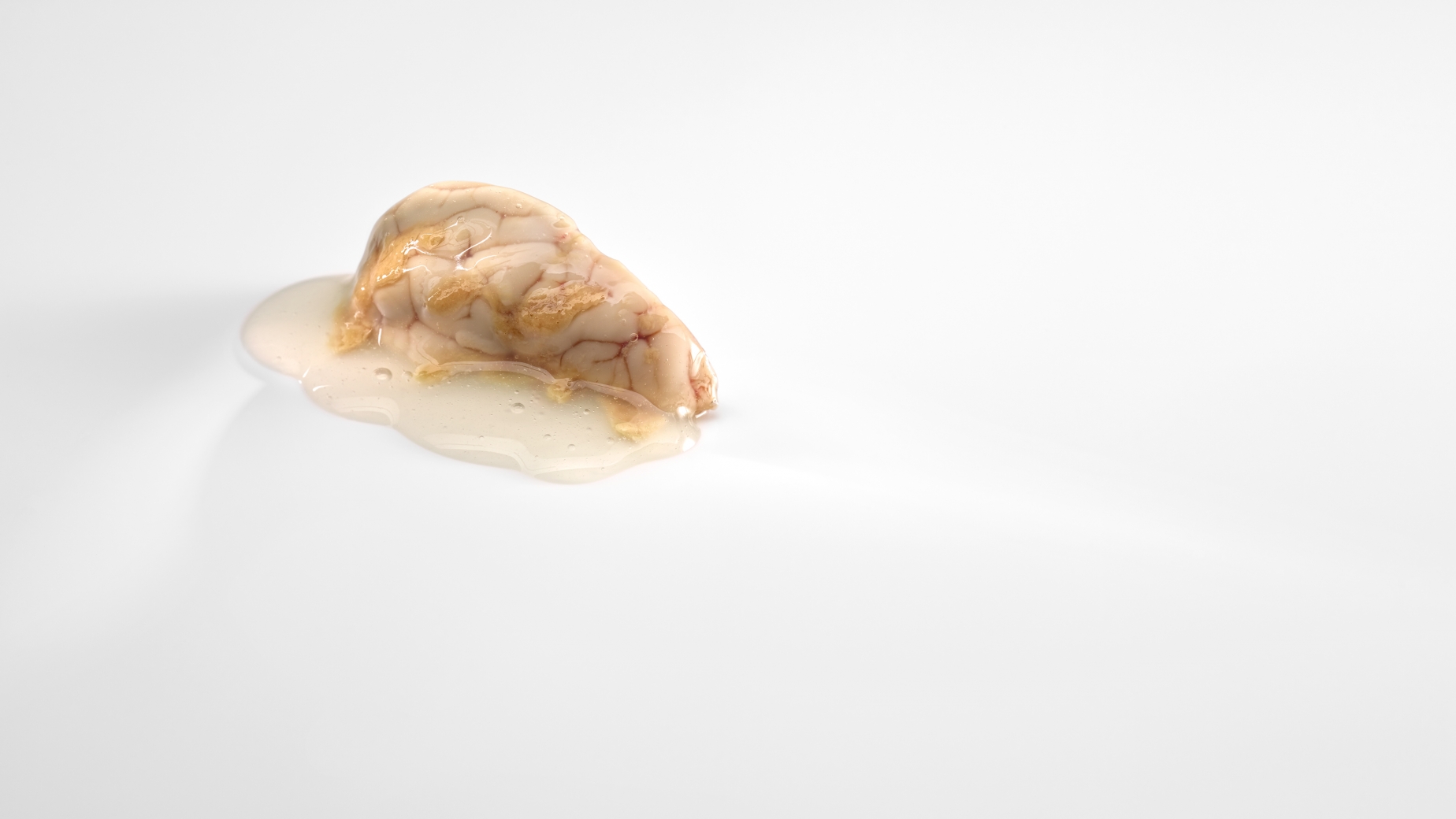 Streamed brains stained with oyster.
PHOTO: José Luis López de Zubiría/ Mugaritz
