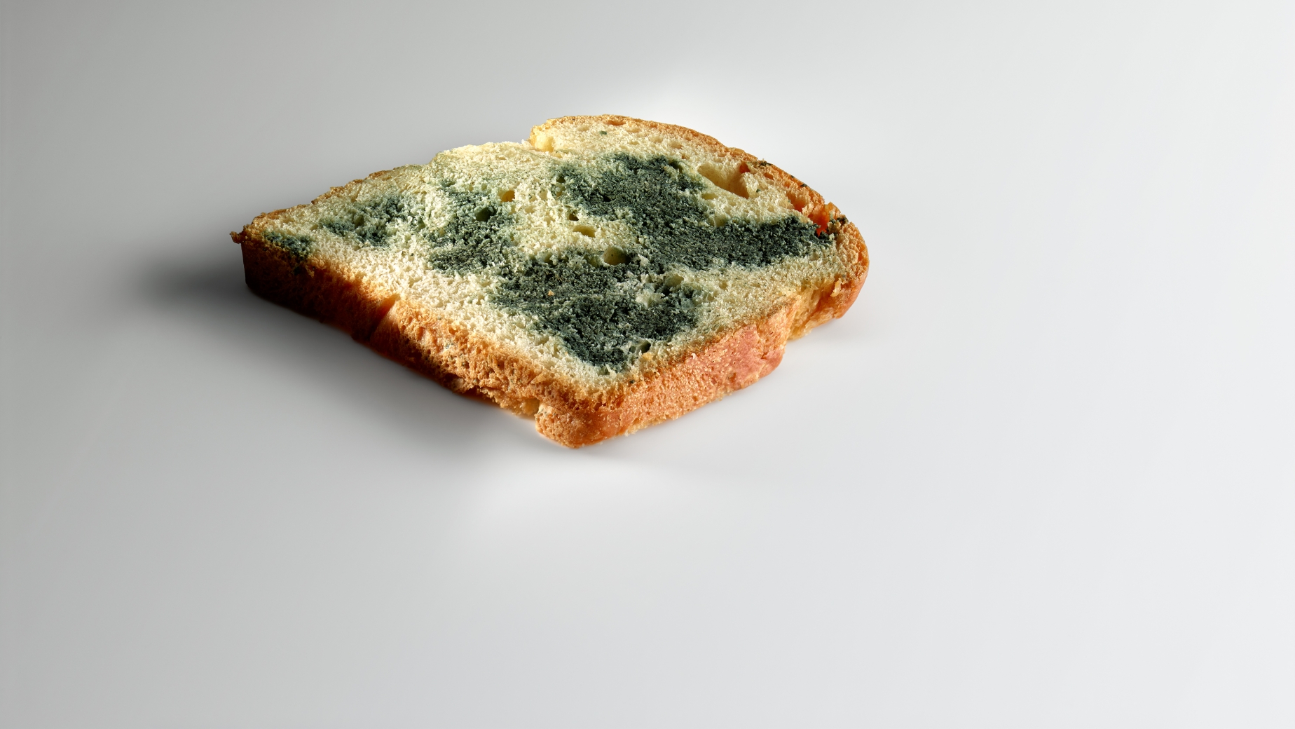 'Blue' bread.
PHOTO: José Luis López de Zubiría/ Mugaritz