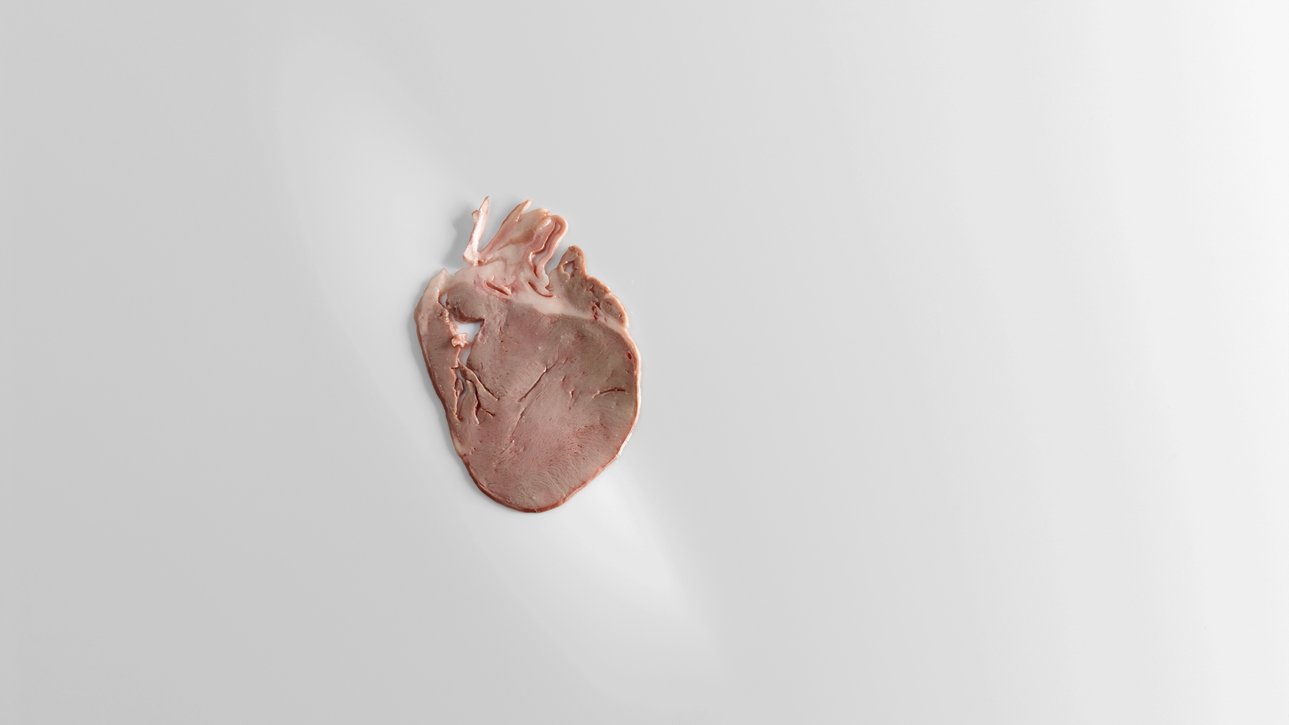 A heart that does not feel 
PHOTO: José Luis López de Zubiría/ Mugaritz