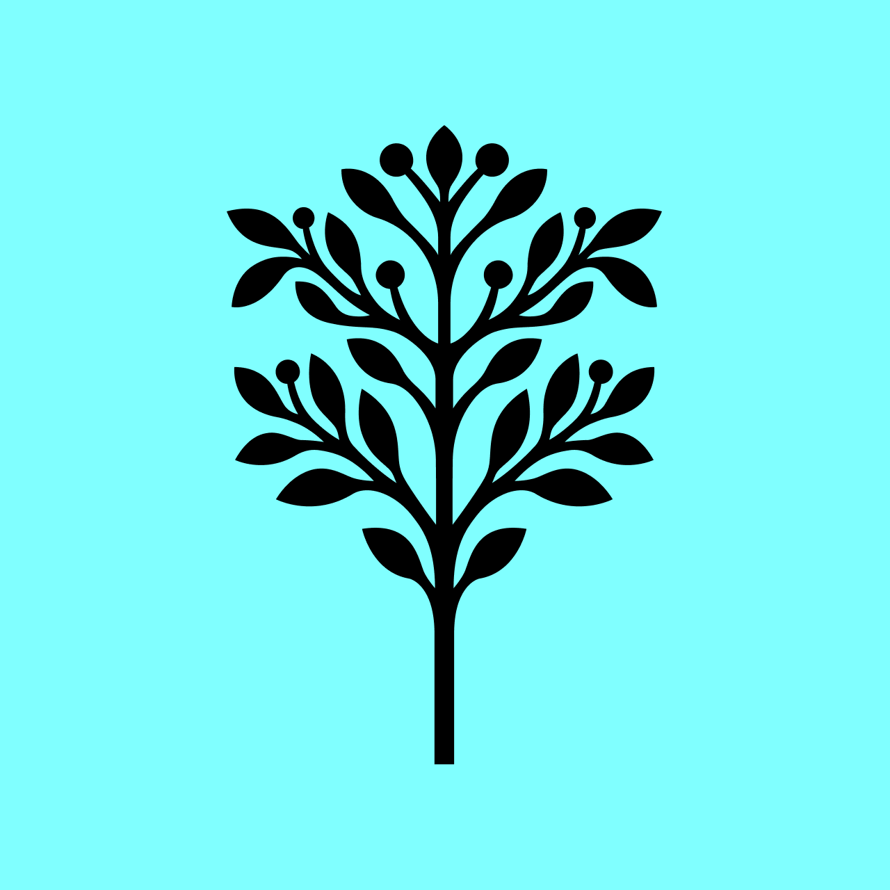 Gift a Mugaritz experience